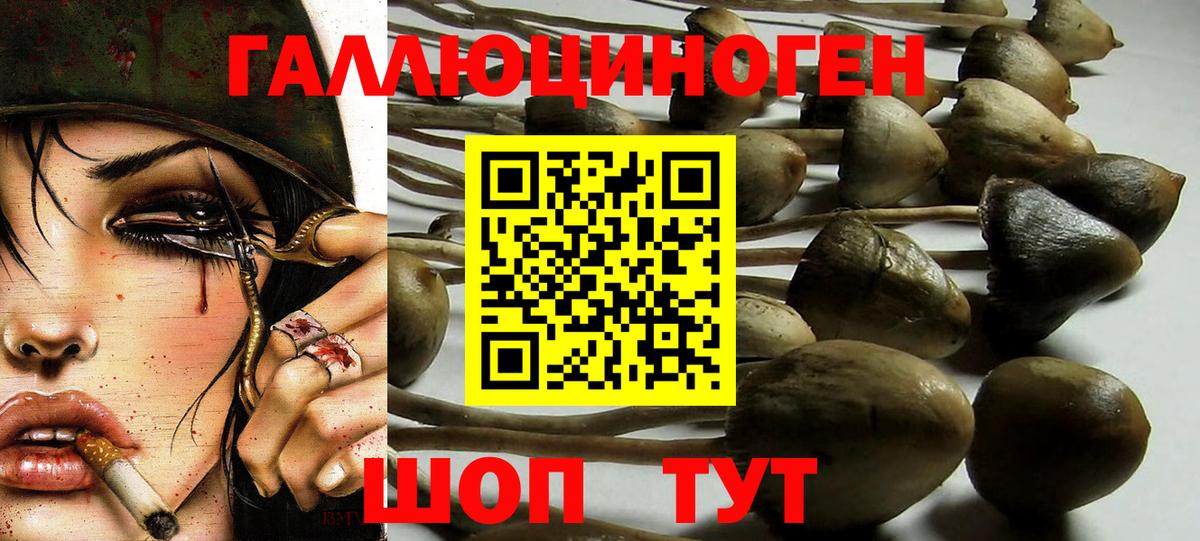 Галлюциногенные грибы Cubensis  Галлюциногенные грибы Magic Shrooms  Вход с VPN  Благодарный 